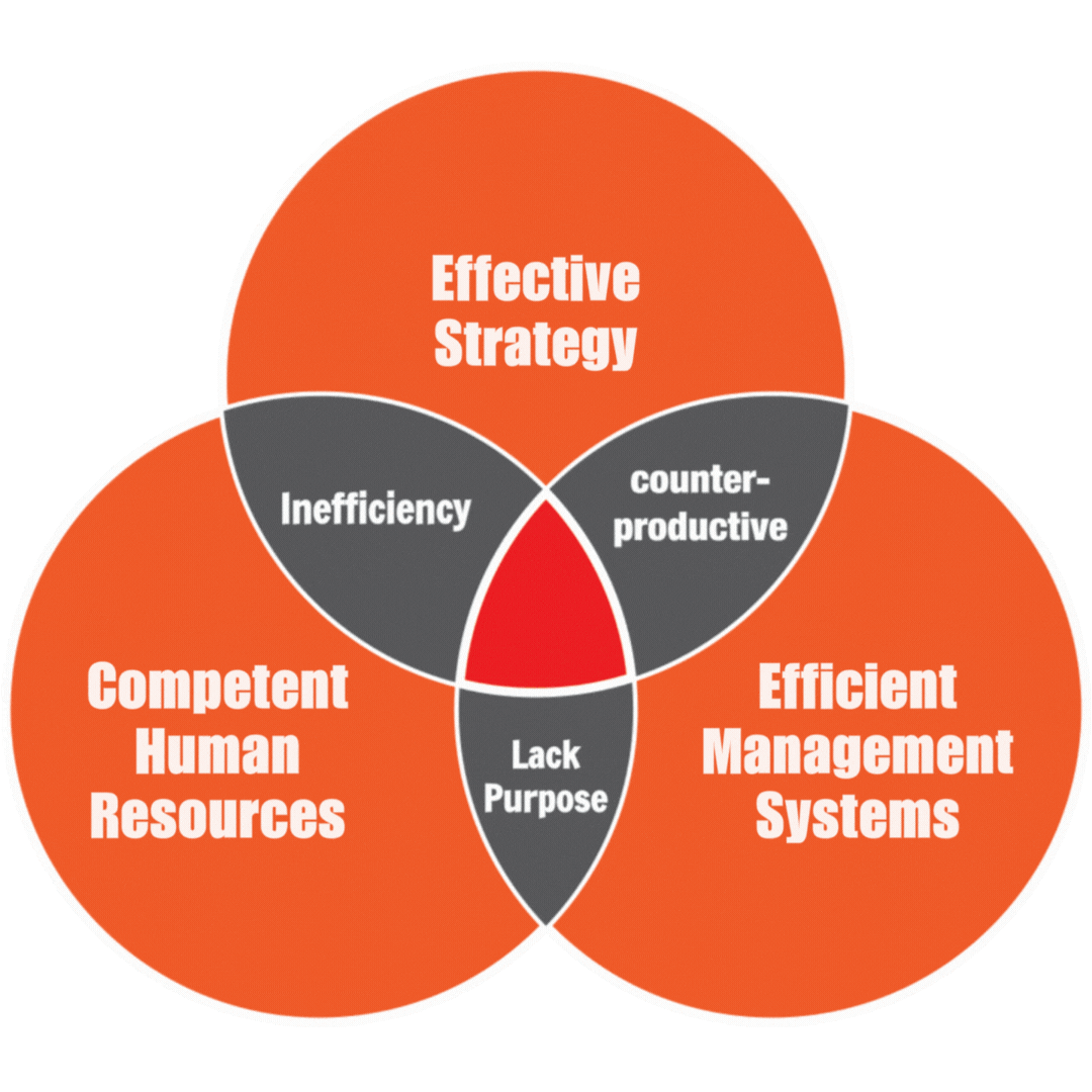 Animated Venn Diagram showing the intersection of Effective Strategy, Competent Human Resource, and Management Systems